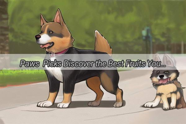 Paws  Picks Discover the Best Fruits Your furry Friend Can Enjoy